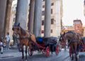 “Botticelle”: Rome wants to make it tempting for the last horse-drawn carriage drivers to switch to taxi licenses – DiePresse.com