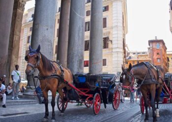 “Botticelle”: Rome wants to make it tempting for the last horse-drawn carriage drivers to switch to taxi licenses – DiePresse.com