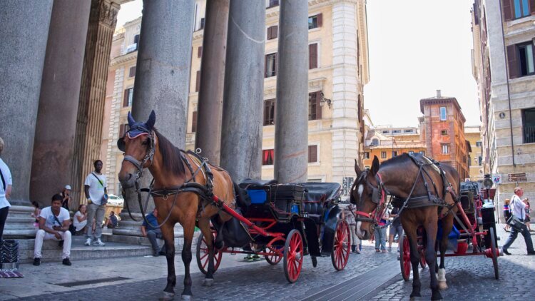 “Botticelle”: Rome wants to make it tempting for the last horse-drawn carriage drivers to switch to taxi licenses – DiePresse.com