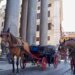 “Botticelle”: Rome wants to make it tempting for the last horse-drawn carriage drivers to switch to taxi licenses – DiePresse.com