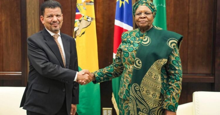 Minister of Foreign Affairs and African Affairs received by President of Namibia