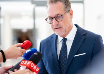 Strache trial: “If you were to put me on the hot stove, I couldn’t tell you better” – DiePresse.com