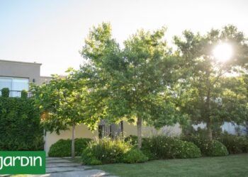 The landscaper who designed a garden for life and today enjoys it from every corner