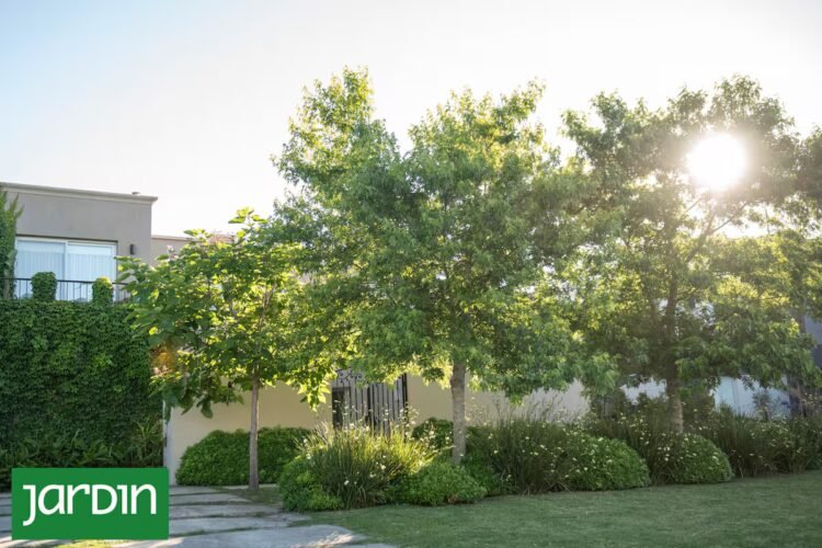 The landscaper who designed a garden for life and today enjoys it from every corner
