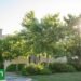 The landscaper who designed a garden for life and today enjoys it from every corner