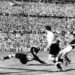 Hungary…the best team in history – Al-Shorouk Online
