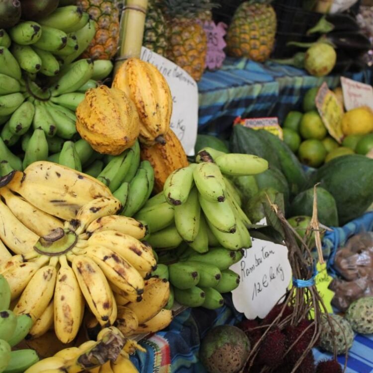 Nayo Swan | Healthy eating, active living: We need action now | Health