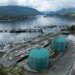 Japan turns to Canadian crude as Asia feels Hormuz supply pinch | News