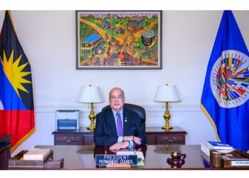 Development Must Stand Alongside Democracy, Human Rights and Security, Says Chair of OAS Development Council