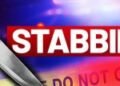 Brazilian stabbed to death in Reg. 7 backdam; one in custody