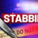 Brazilian stabbed to death in Reg. 7 backdam; one in custody