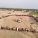 The Al-Maghlaf tribes in Hodeidah announce their readiness to provide leadership options and end the siege