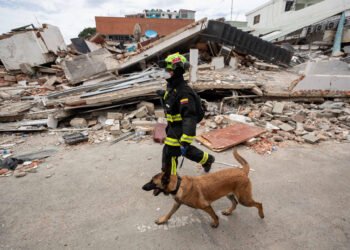 Death toll rises, while rescuers from 27 countries search for survivors in Venezuela