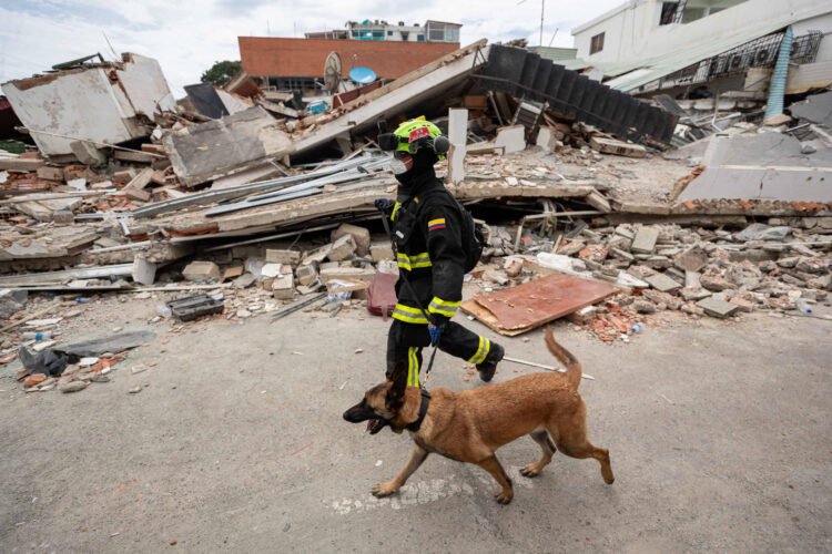Death toll rises, while rescuers from 27 countries search for survivors in Venezuela
