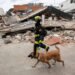 Death toll rises, while rescuers from 27 countries search for survivors in Venezuela