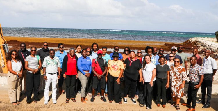 OECS looks to French Caribbean for new solutions to region’s sargassum challenge