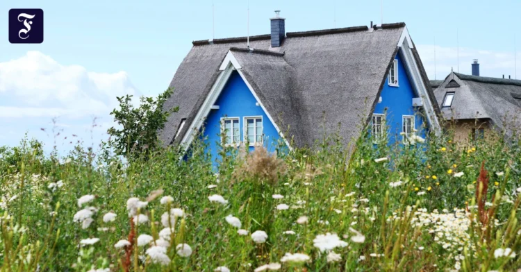 Inheritance tax: why it needs to be reinvented