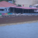 El sargazo llega a la Ciudad de Belize y preocupa a residentes y comercios