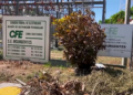 New 20-Megawatt Power Unit May End Threat of Load Shedding