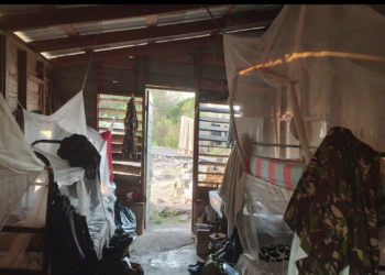 Troubling Images Put BDF Field Conditions in the Spotlight