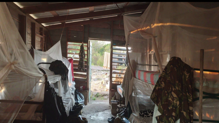 Troubling Images Put BDF Field Conditions in the Spotlight