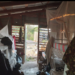 Troubling Images Put BDF Field Conditions in the Spotlight