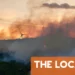 Scores evacuated in southern France as wildfire rages