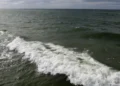 The seas have never been so warm in summer
