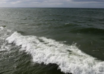 The seas have never been so warm in summer