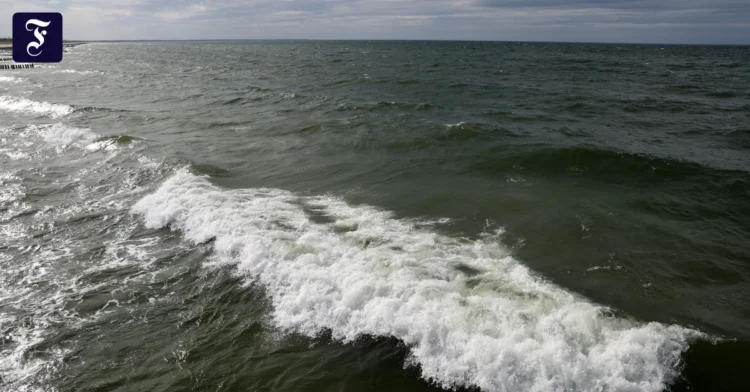 The seas have never been so warm in summer