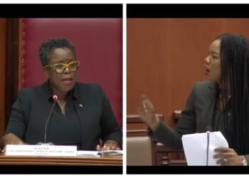 VIDEO: Tense Senate Exchange Erupts Between Williams Grant and Parker