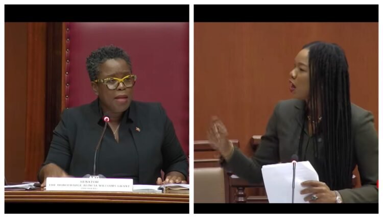 VIDEO: Tense Senate Exchange Erupts Between Williams Grant and Parker