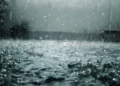 Special bulletin: Heavy rains across 9 states starting at 2pm – Al-Shorouk Online