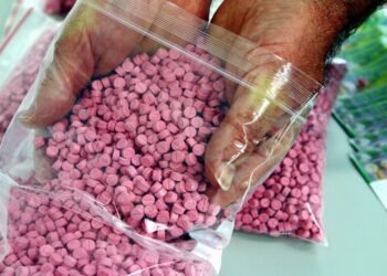Heavy sentences against smugglers of 2.6 million “ecstasy” in the port of Mostaganem – Al-Shorouk Online
