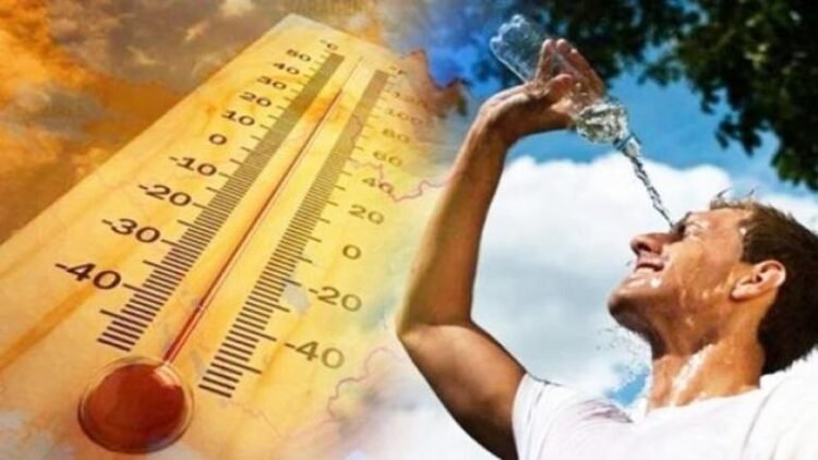 An exceptional heat wave hits 36 states until Sunday… and the temperature exceeds 48 degrees
