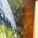 Special alert: A record heat wave reaching 49° and rain across these states – Al-Shorouk Online