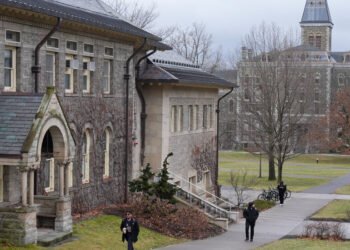 Students Skinned a Bear in a Dorm. Cornell Realized It Should Ban That.