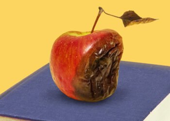 Opinion | A Top Scholar’s Fall Shows That Universities Don’t Get It