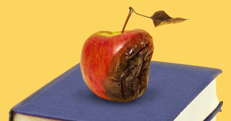 Opinion | A Top Scholar’s Fall Shows That Universities Don’t Get It