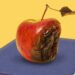 Opinion | A Top Scholar’s Fall Shows That Universities Don’t Get It
