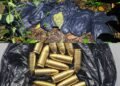 $1.5m in cannabis, ammunition seized at Grande Riviere cemetery