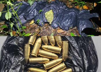 $1.5m in cannabis, ammunition seized at Grande Riviere cemetery
