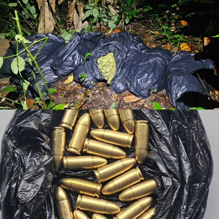 $1.5m in cannabis, ammunition seized at Grande Riviere cemetery