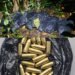 $1.5m in cannabis, ammunition seized at Grande Riviere cemetery