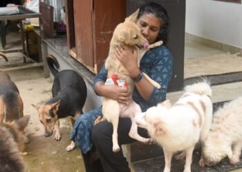 How this Keralam animal lover has turned her rented home into a sanctuary for rescued dogs and cats