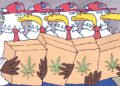 Opinion | Europe Is Not Ready for American Weed