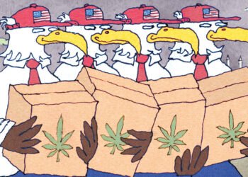 Opinion | Europe Is Not Ready for American Weed