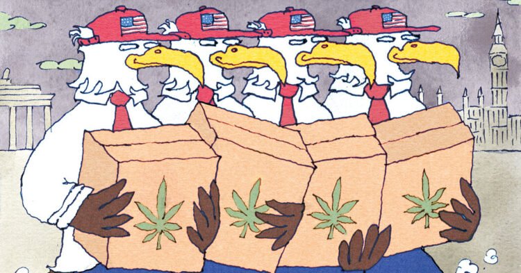 Opinion | Europe Is Not Ready for American Weed