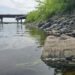 Kayaker on St. John River makes a pair of grim discoveries