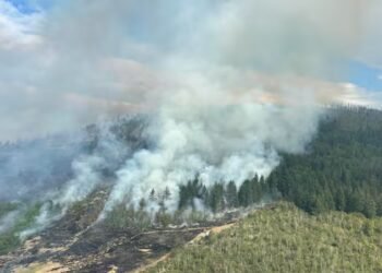 Okanagan Lake wildfire more than doubles in size, forcing more evacuations